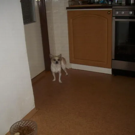 U Trojanu Apartamento *